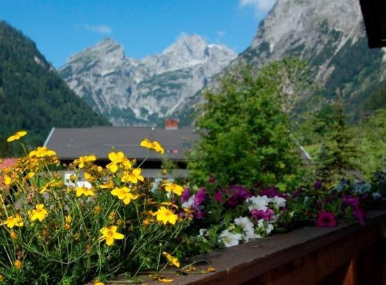 Ferienhaus Rosi Sankt Martin am Tennengebirge Værelse billede